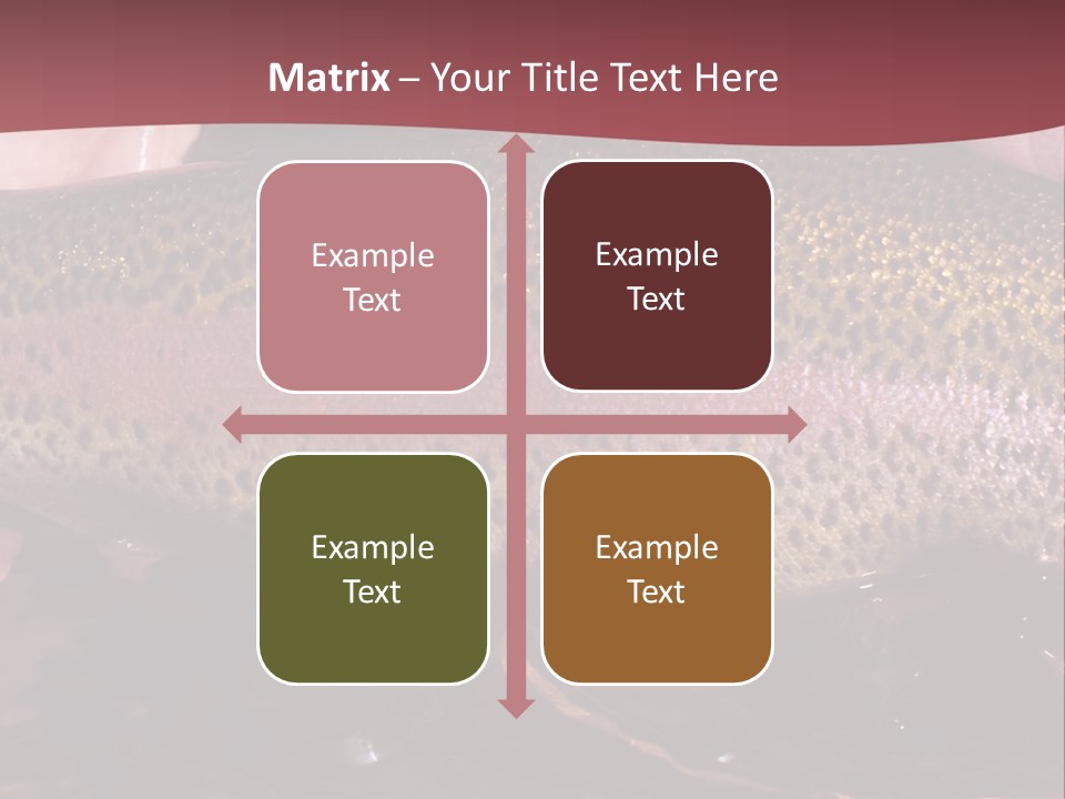 A Fish PowerPoint Template