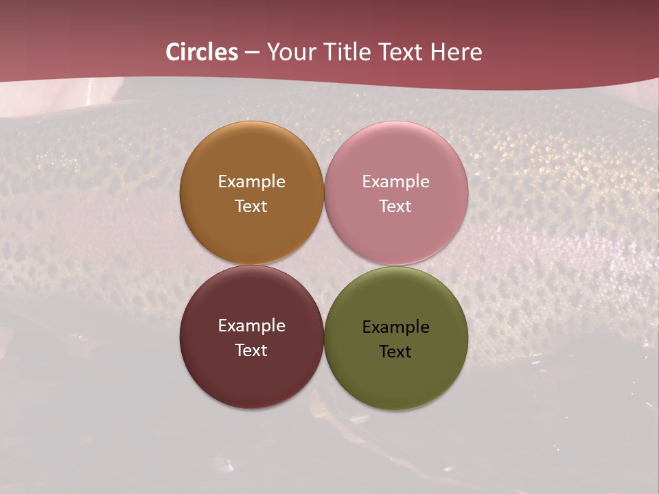 A Fish PowerPoint Template