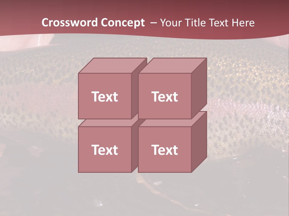 A Fish PowerPoint Template