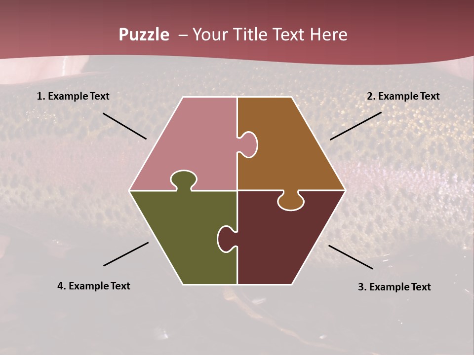 A Fish PowerPoint Template