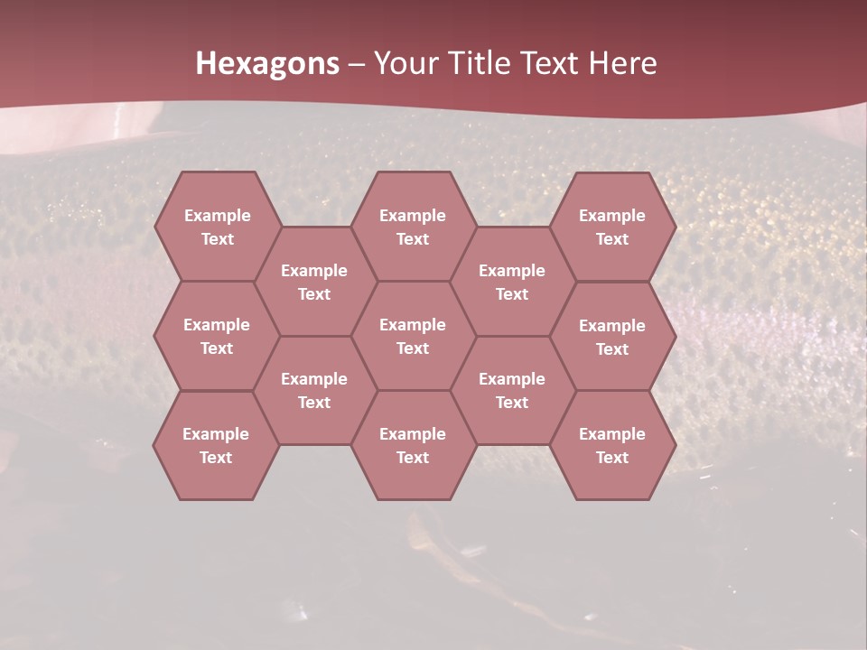 A Fish PowerPoint Template