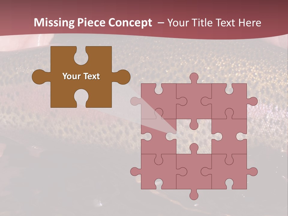 A Fish PowerPoint Template