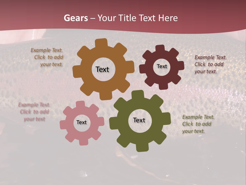 A Fish PowerPoint Template