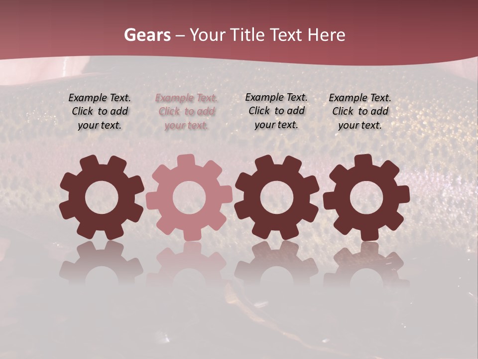 A Fish PowerPoint Template