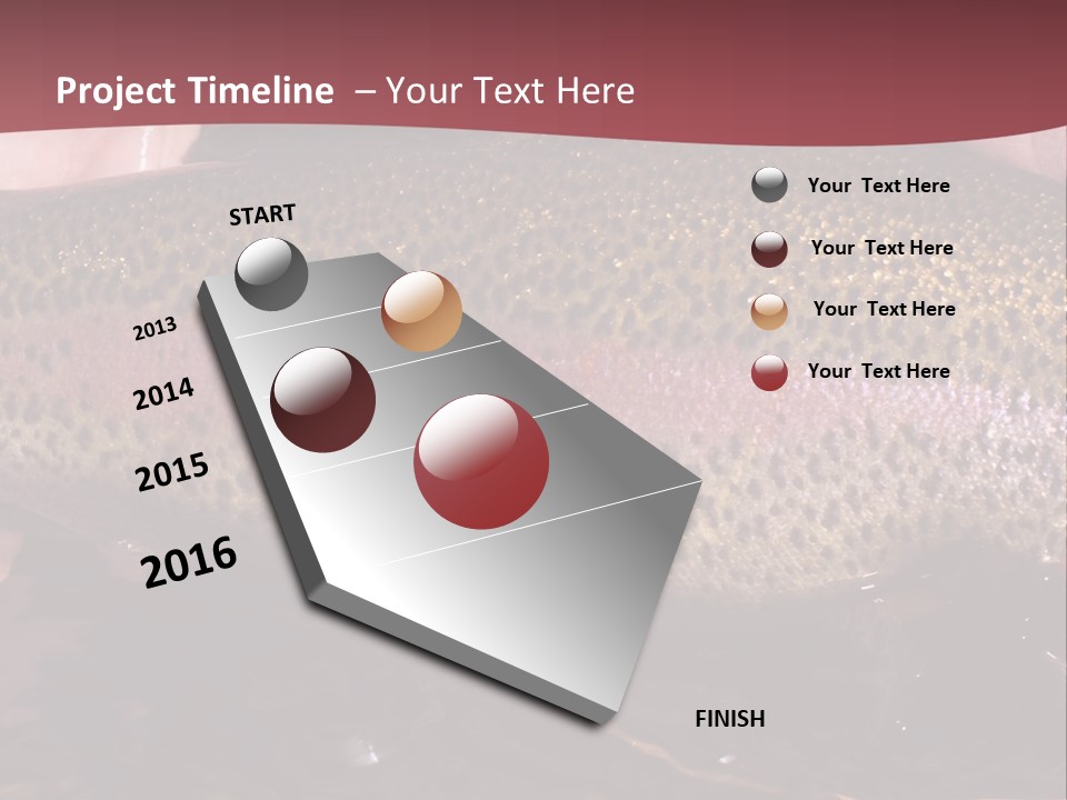 A Fish PowerPoint Template