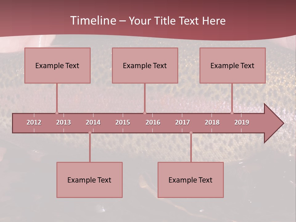 A Fish PowerPoint Template