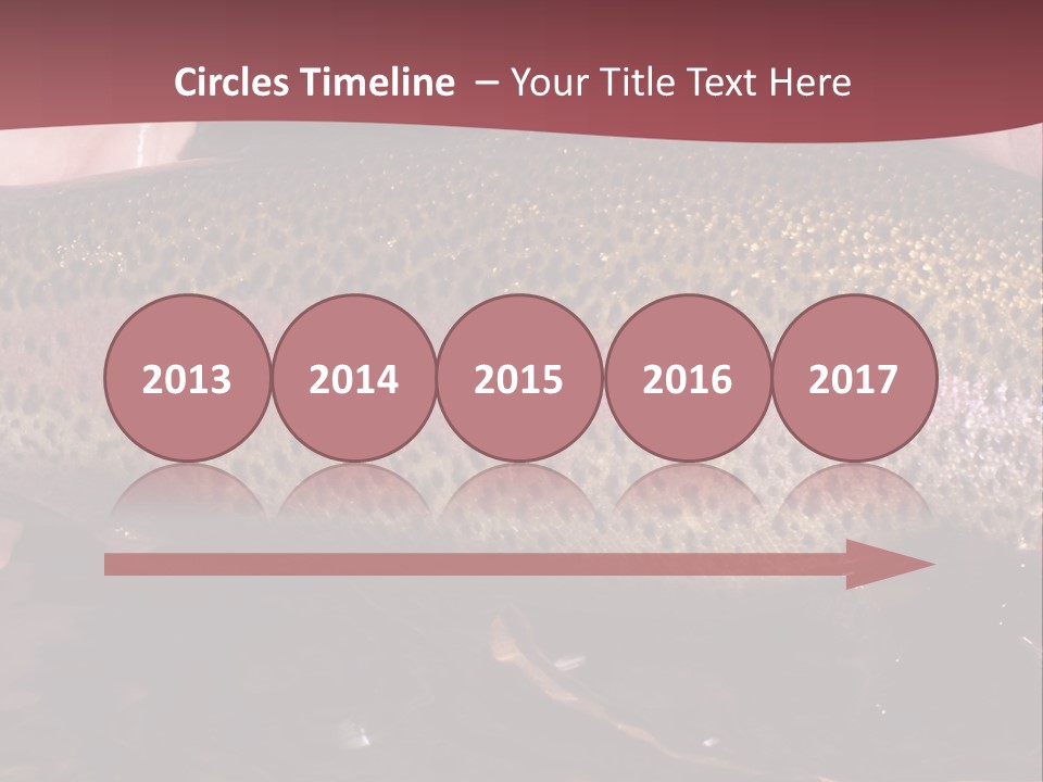 A Fish PowerPoint Template