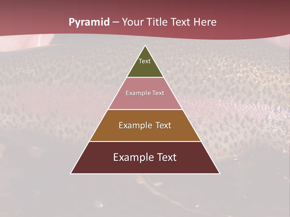 A Fish PowerPoint Template