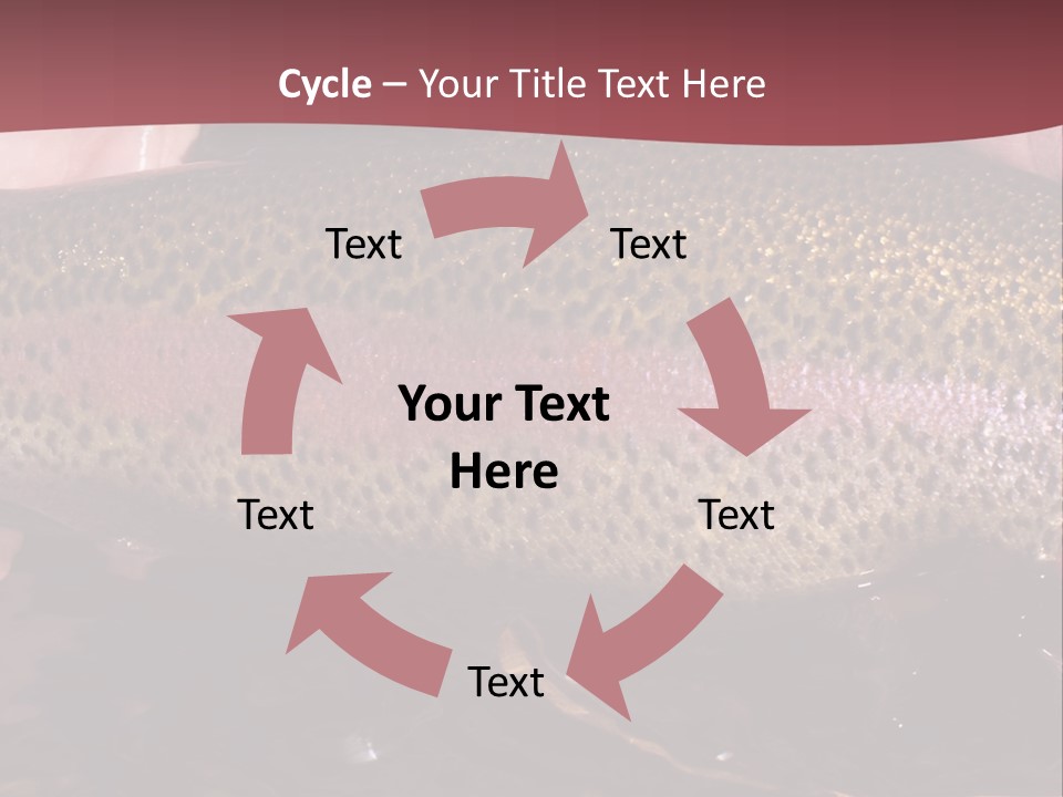 A Fish PowerPoint Template