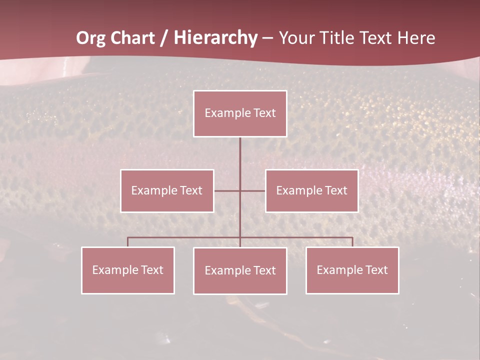 A Fish PowerPoint Template