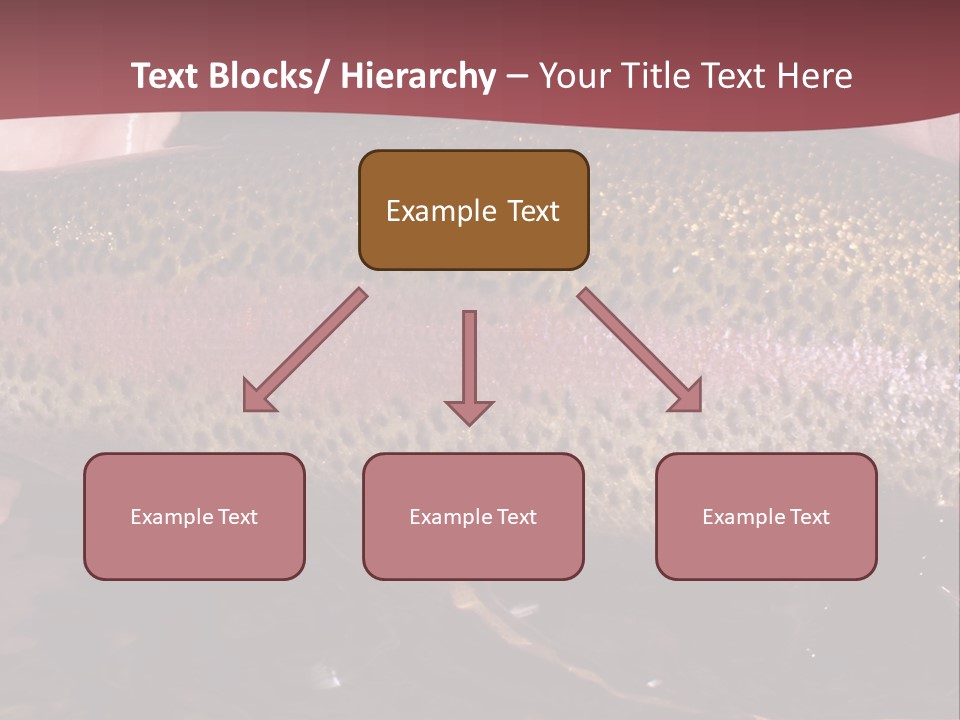 A Fish PowerPoint Template