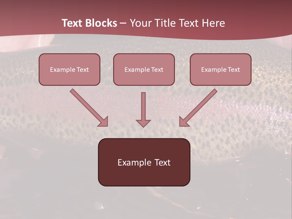 A Fish PowerPoint Template