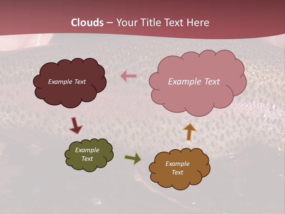 A Fish PowerPoint Template
