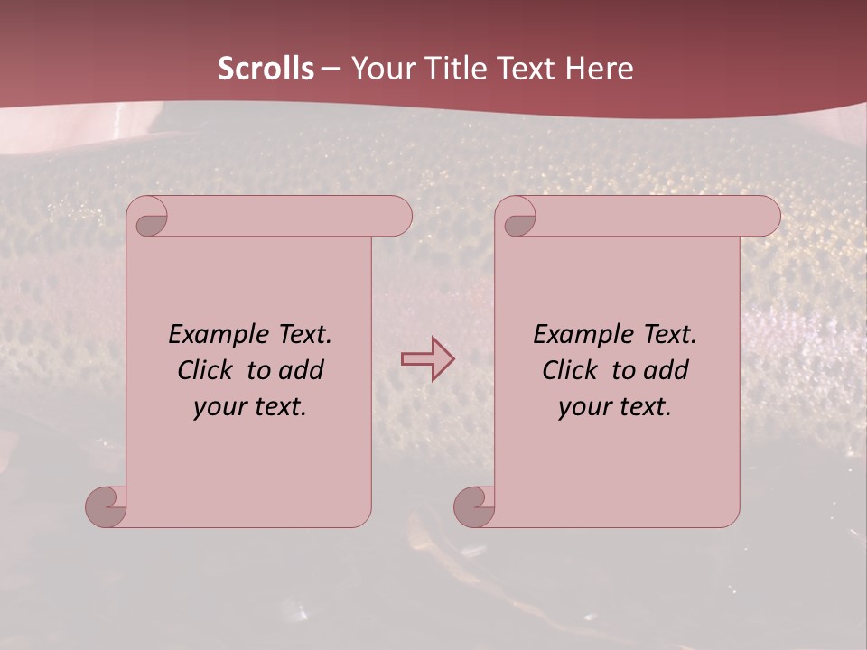 A Fish PowerPoint Template