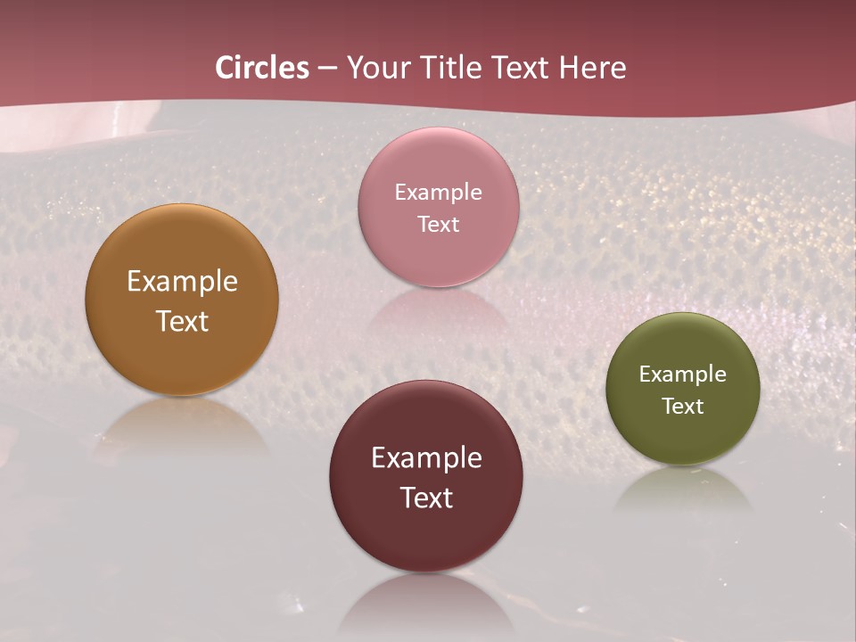 A Fish PowerPoint Template