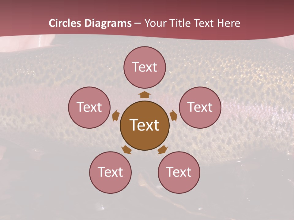 A Fish PowerPoint Template