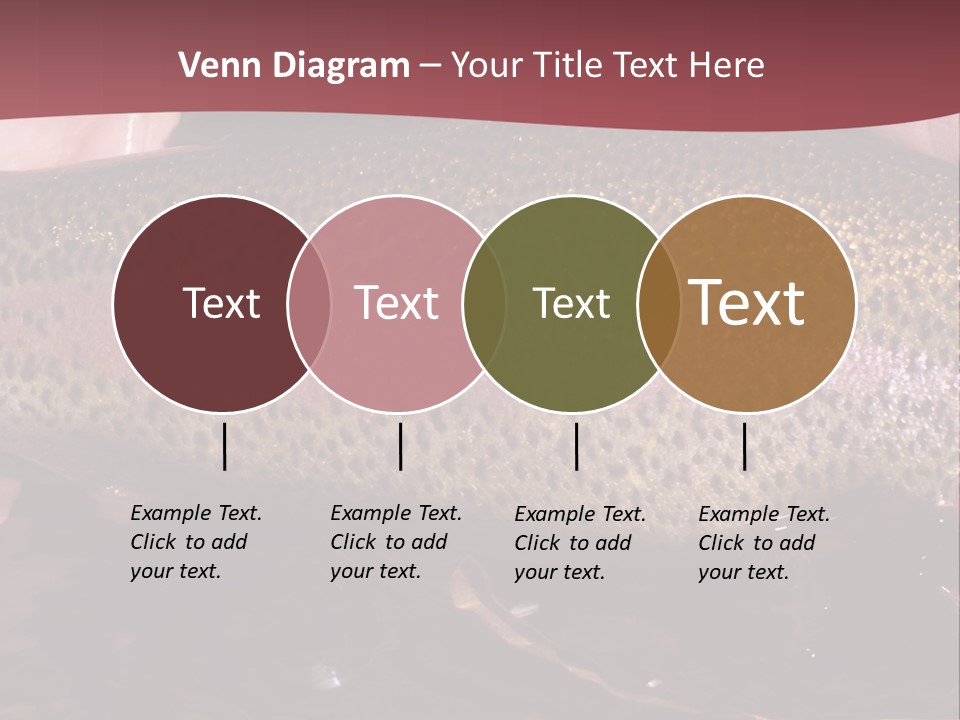 A Fish PowerPoint Template