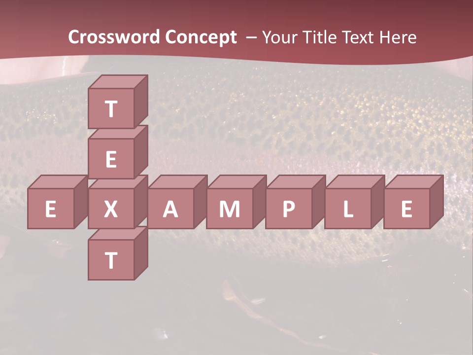 A Fish PowerPoint Template