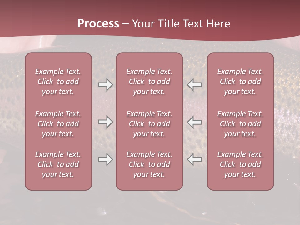 A Fish PowerPoint Template