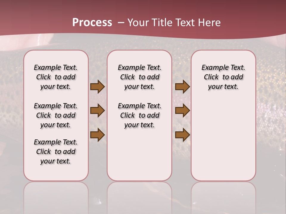 A Fish PowerPoint Template