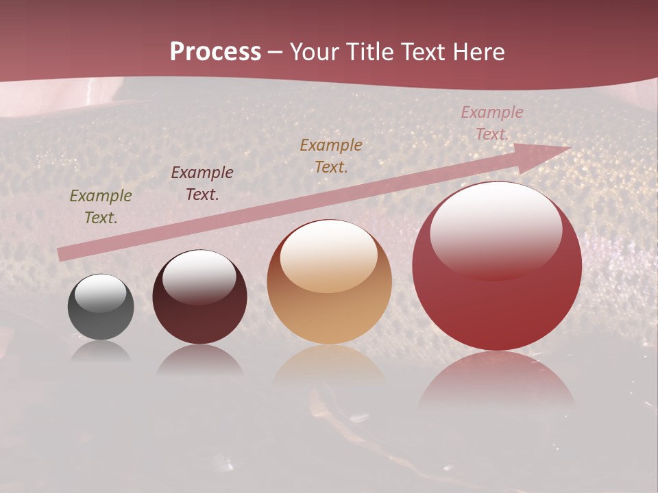 A Fish PowerPoint Template