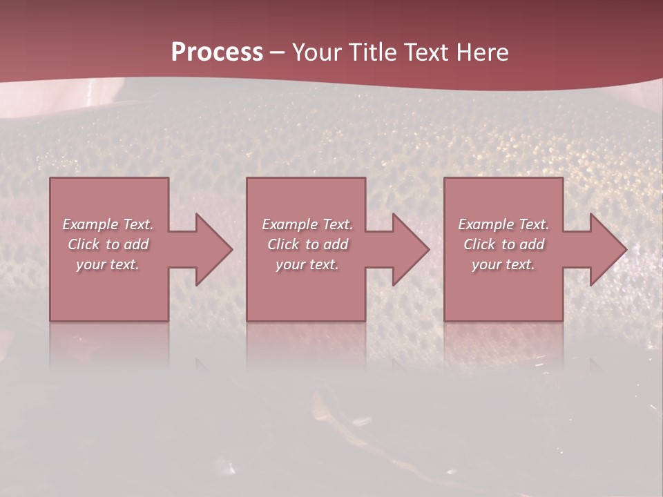 A Fish PowerPoint Template