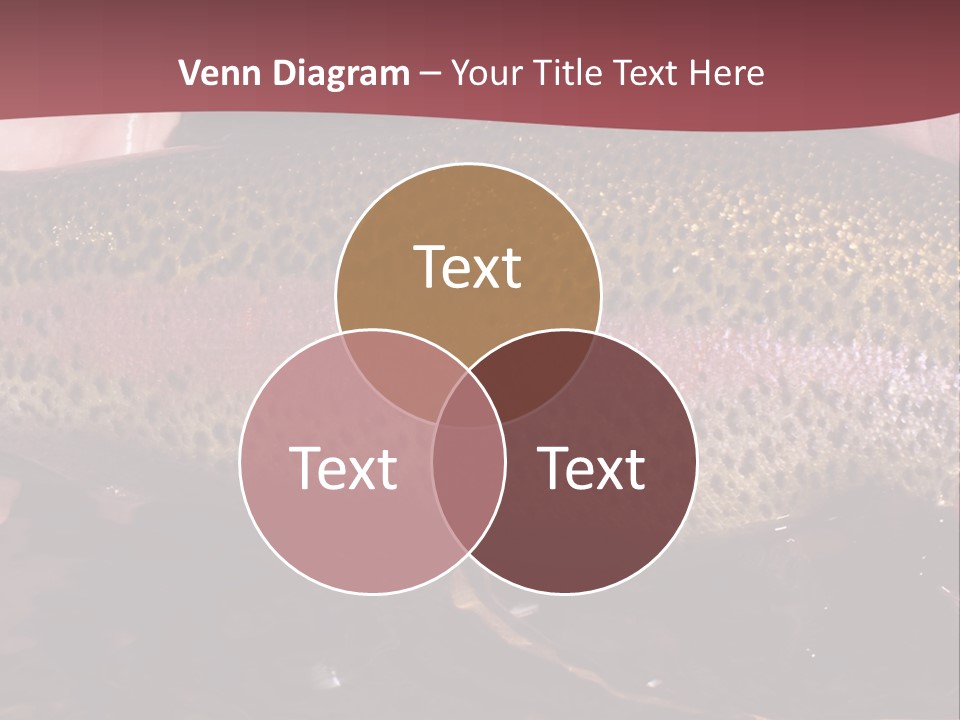 A Fish PowerPoint Template