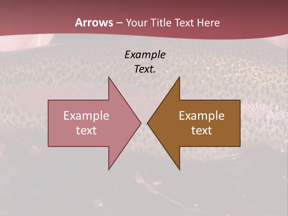 A Fish PowerPoint Template
