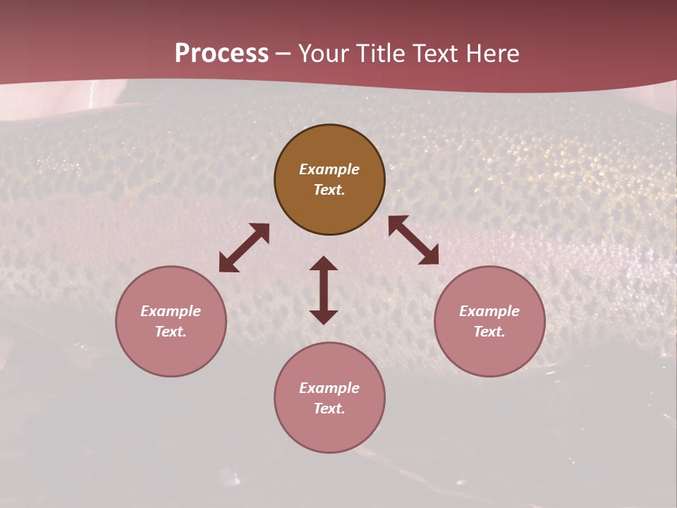 A Fish PowerPoint Template