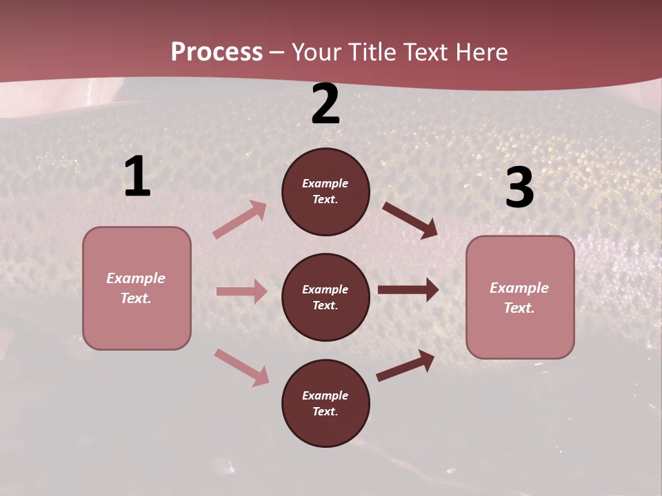 A Fish PowerPoint Template