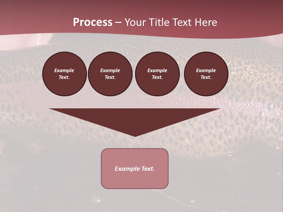 A Fish PowerPoint Template