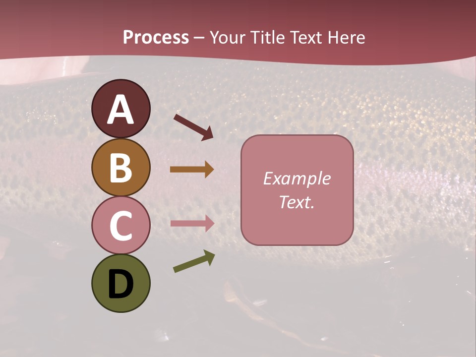 A Fish PowerPoint Template