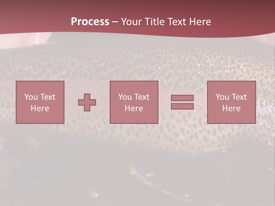 A Fish PowerPoint Template