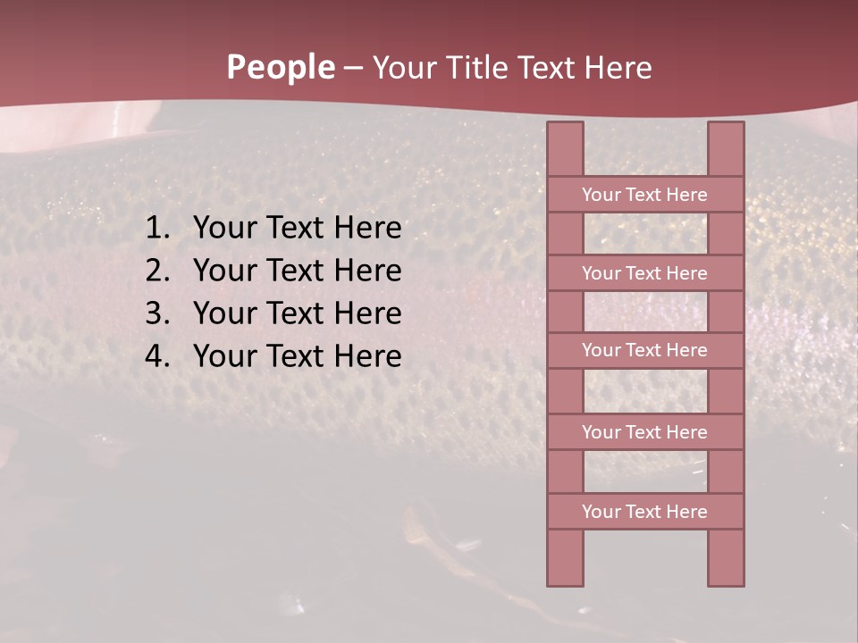 A Fish PowerPoint Template