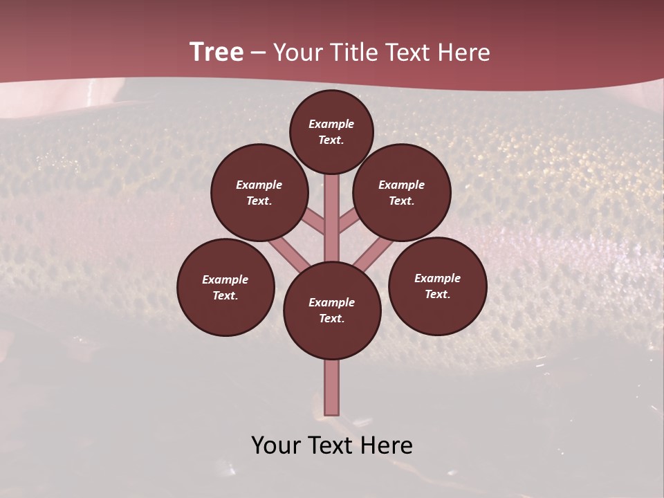 A Fish PowerPoint Template