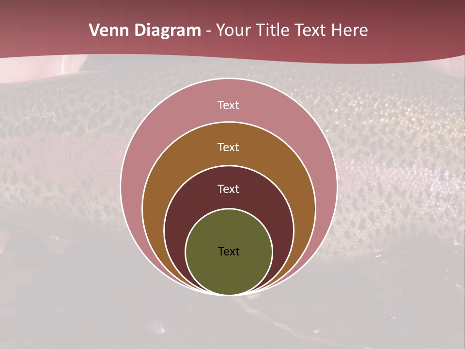 A Fish PowerPoint Template