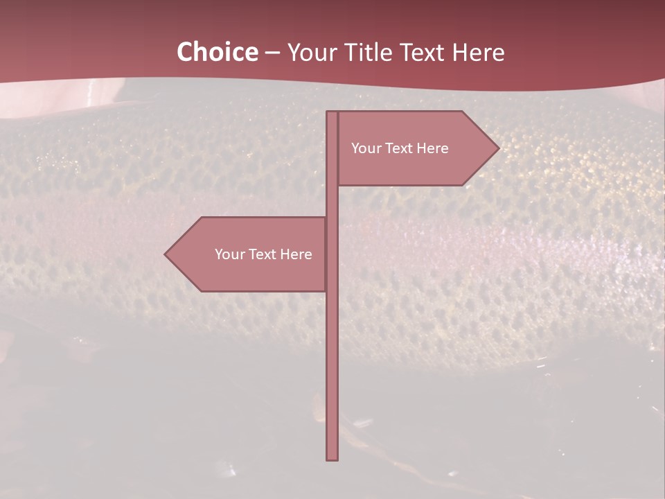 A Fish PowerPoint Template