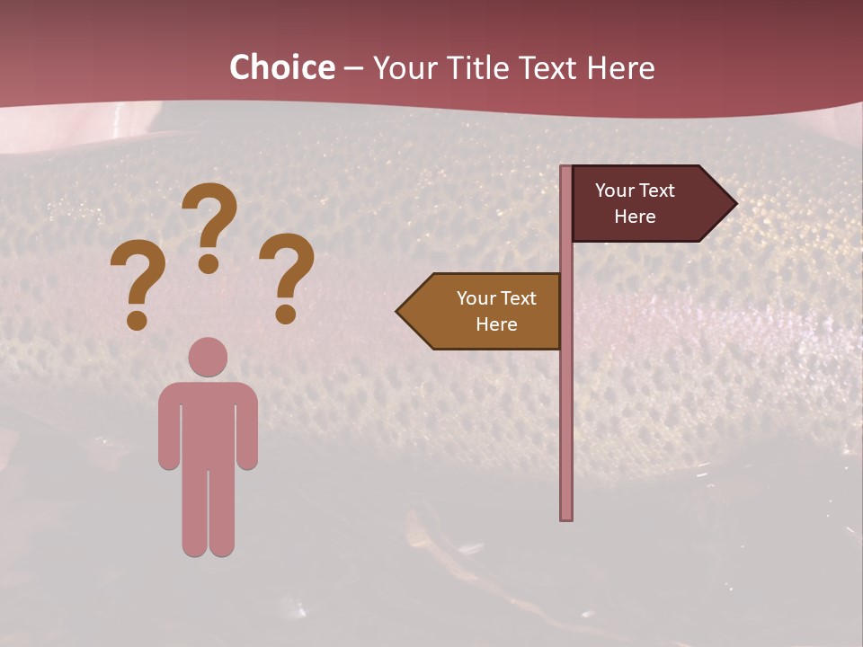 A Fish PowerPoint Template