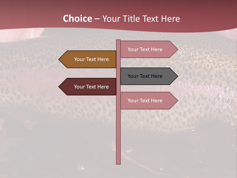 A Fish PowerPoint Template