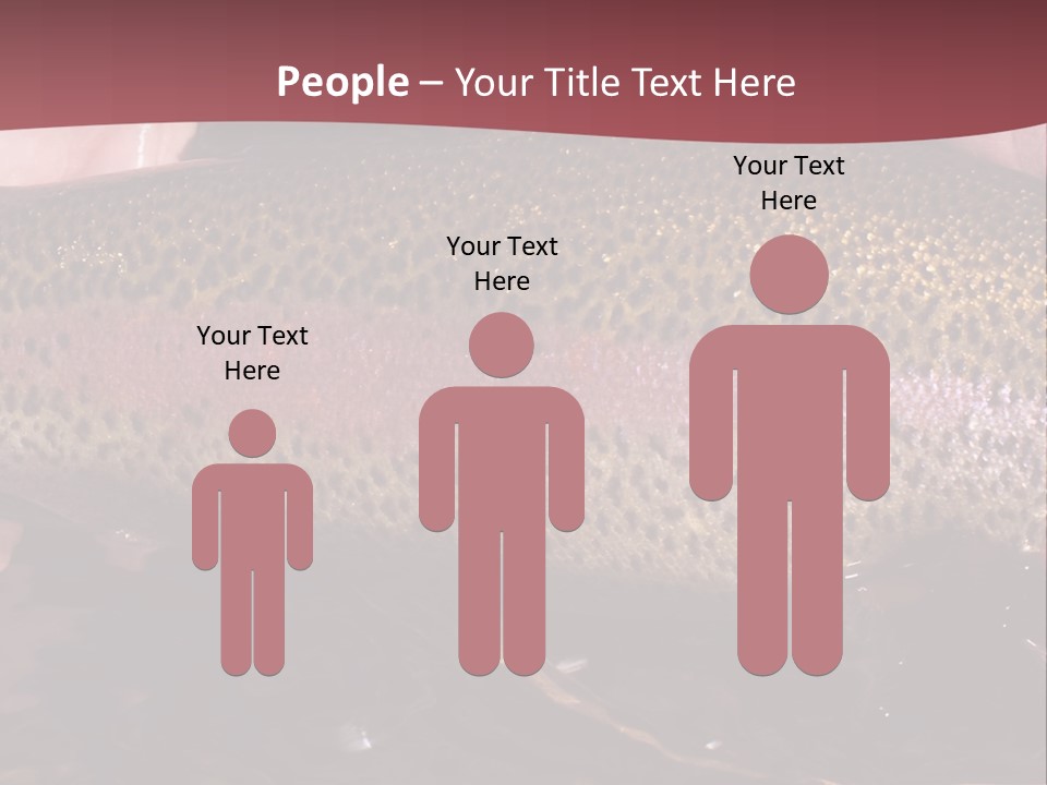 A Fish PowerPoint Template