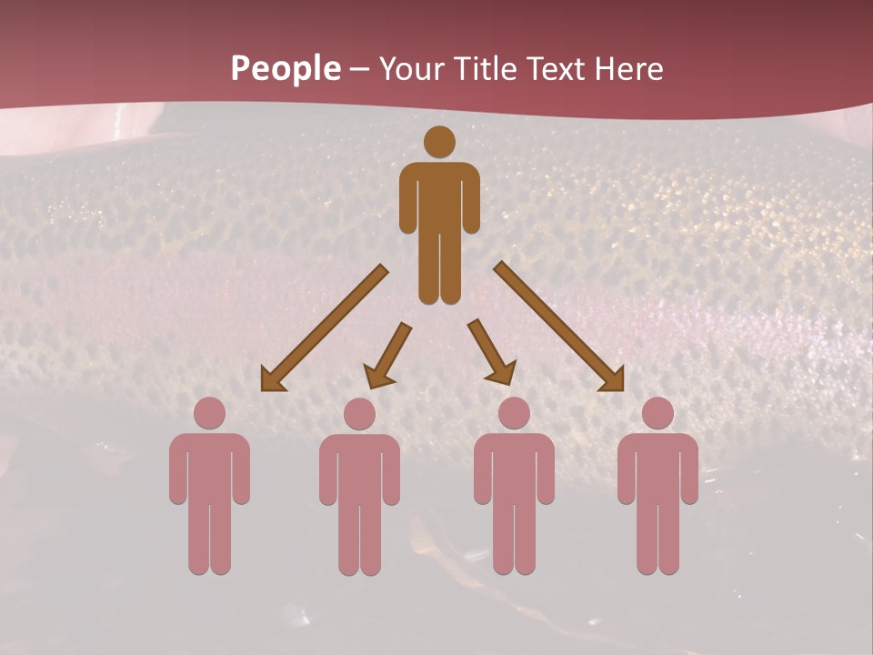 A Fish PowerPoint Template