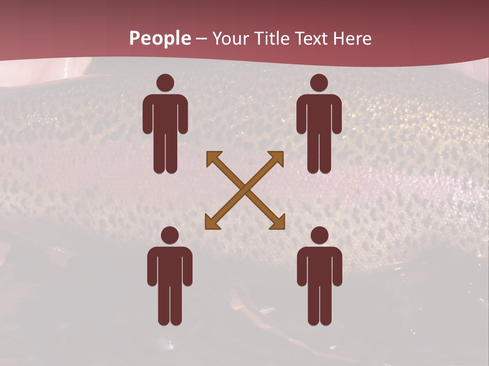 A Fish PowerPoint Template