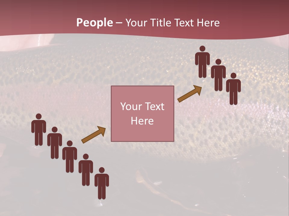 A Fish PowerPoint Template