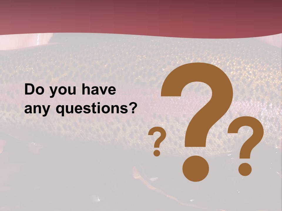 A Fish PowerPoint Template