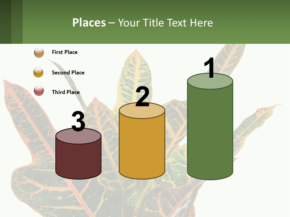 Indoor Plant PowerPoint Template