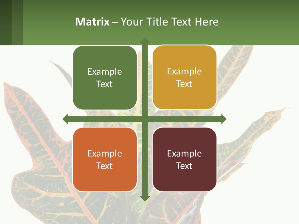 Indoor Plant PowerPoint Template