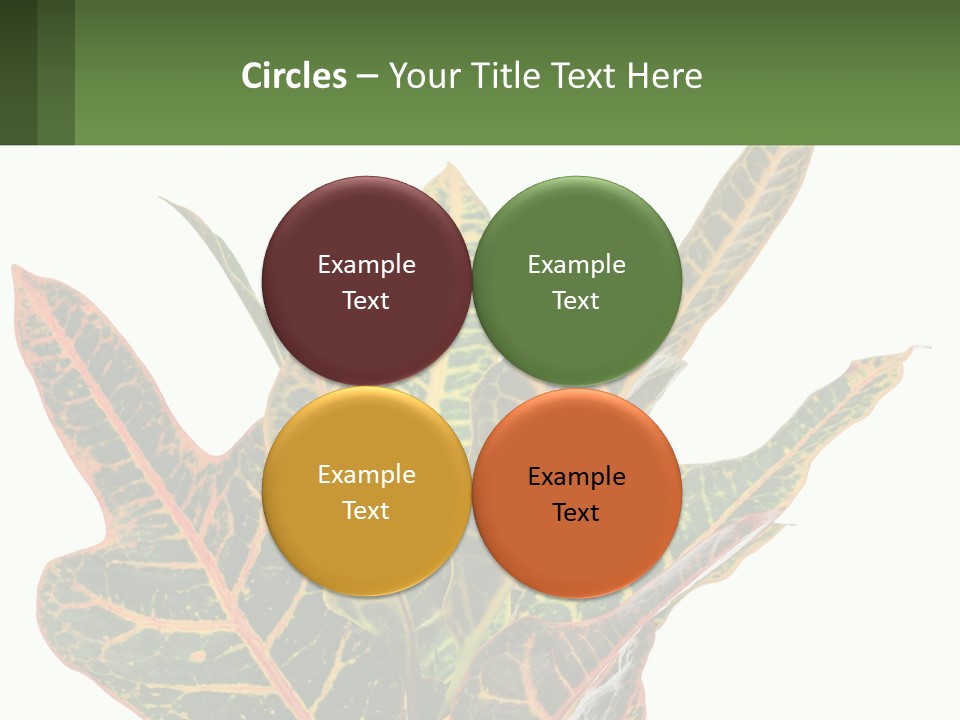 Indoor Plant PowerPoint Template