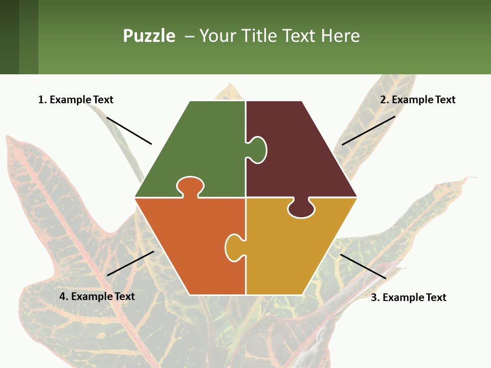 Indoor Plant PowerPoint Template