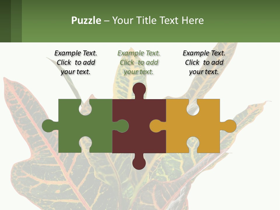 Indoor Plant PowerPoint Template