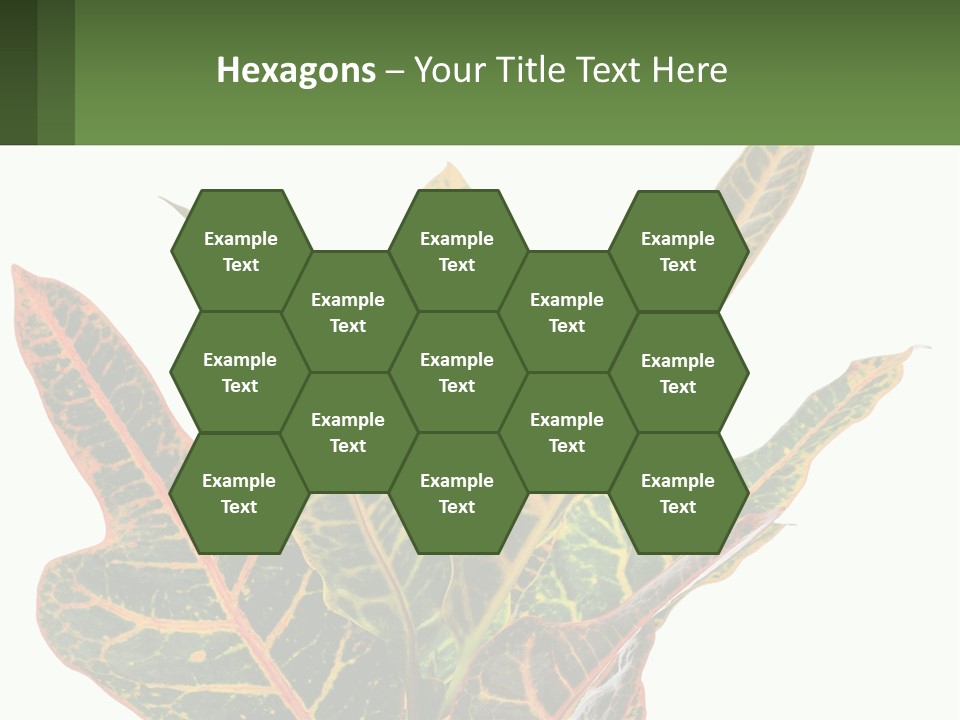 Indoor Plant PowerPoint Template